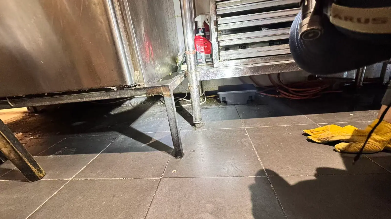 Tamper-resistant rodent station under equipment in an anonymous Sydney restaurant kitchen