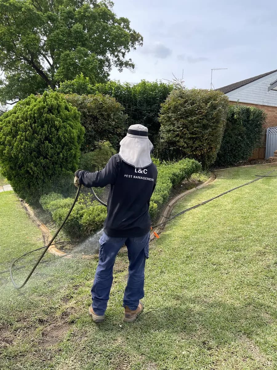 L&C Pest Management technician treating a Sydney residential garden perimeter