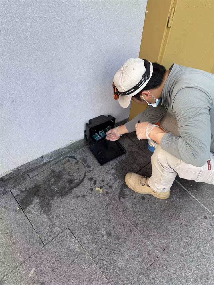 Technician checking a pest control bait station at an apartment property
