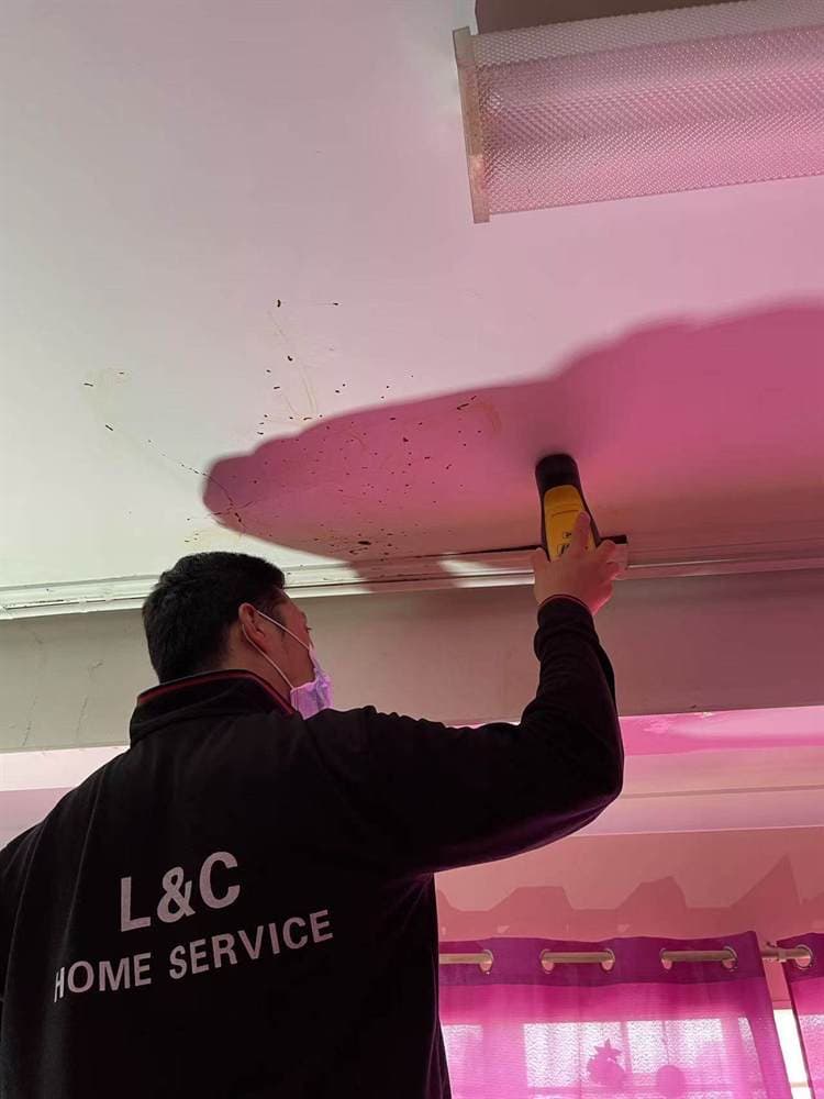 Technician inspecting interior fixture areas during a pest control visit