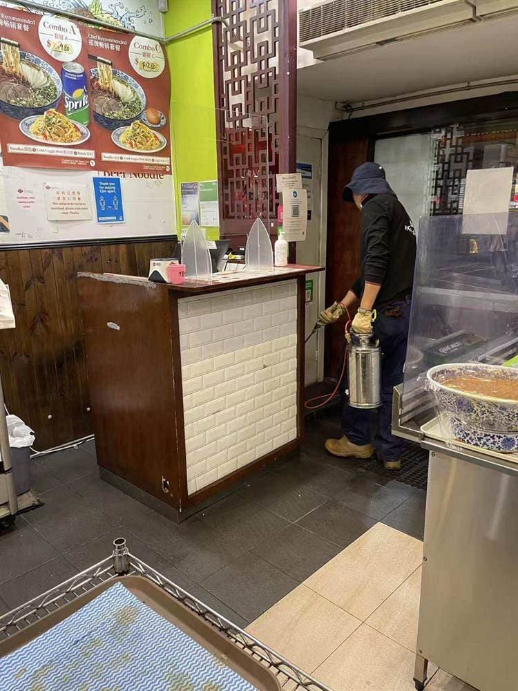 Commercial pest control treatment inside a Sydney restaurant kitchen area