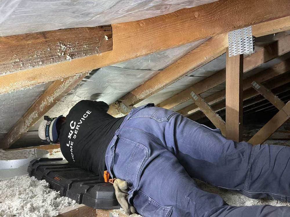 Technician inspecting a roof void for rodent control in Sydney