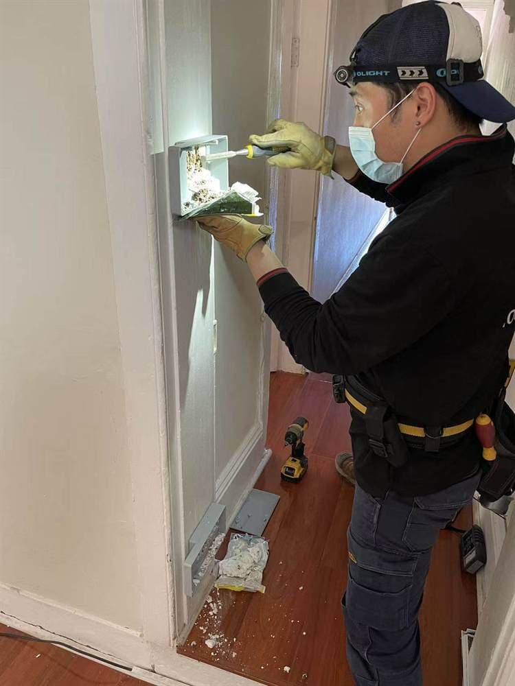 Technician inspecting wall timber damage during a termite inspection